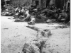 20081121-kambodza-siem-reap-263
