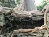 20081121-kambodza-siem-reap-267