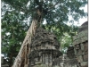 20081121-kambodza-siem-reap-279