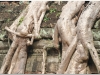 20081121-kambodza-siem-reap-281