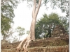20081121-kambodza-siem-reap-289