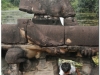 20081122-kambodza-siem-reap-77