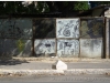 20111115-kuba-hawana-47