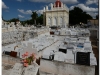 20111115-kuba-hawana-66
