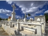 20111115-kuba-hawana-70