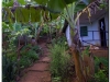 20111119-baracoa-105