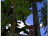 20111119-baracoa-12