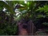 20111119-baracoa-99
