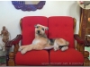 20111123-kuba-camaguey-141