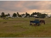20111129-kuba-playa-larga-8