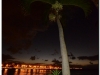 20111202-kuba-hawana-99