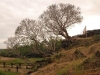 laos-1-16