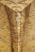 Laos 2 (3).jpg