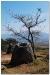 Laos 3 (12).JPG