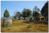 Laos 3 (16).JPG