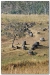 Laos 3 (6).JPG