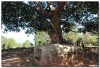 Laos 3 (9).JPG