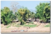 5-laos_034.jpg