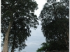 20081124-kambodza-laos-pakse-champasak-29