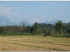 20081127-laos-vientianne-ponsavanh-31