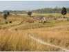 20081128-laos-ponsavanh-11