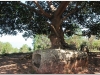 20081128-laos-ponsavanh-42