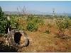 20081128-laos-ponsavanh-64