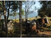 20081128-laos-ponsavanh-67