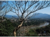 20081130-laos-luang-prabang-19