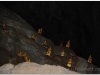 20081201-laos-luang-prabang-73