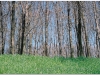 20040501-lwow-2-skansen-1