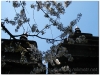 20040501-lwow-2-skansen-3