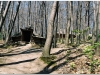 20040501-lwow-2-skansen-7