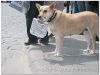 20040502-lwow-20