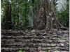 20130505-meksyk-palenque-43