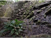 20130505-meksyk-palenque-45