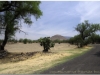 20130430-meksyk-teotihuacan-16