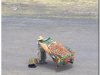 20130430-meksyk-teotihuacan-59