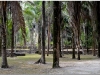 20130509-meksyk-chetumal-kohunlich-13