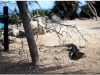 20130511-meksyk-tulum-27