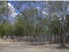 20130514-meksyk-chichen-itza-62