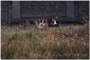 20050824-ub-30
