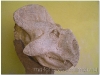20050824-ub-46