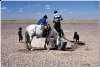 20050828-gobi-33