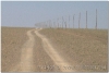 20050901-bayanzag-ongi-8