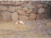 peru-20070731-puno-sillustani-78