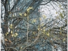 2005-pkin-w-lisciach