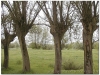 2003-05-wilga-czersk-77