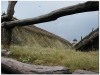 2003-09-biskupin-gasawa-44