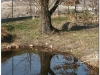 2003-tarchomin-33
